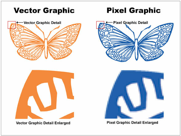 Vector to pixel graphic comparison using a butterfly line drawing
